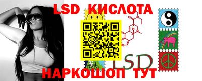 гидра Будённовск
