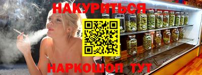 гидра Будённовск
