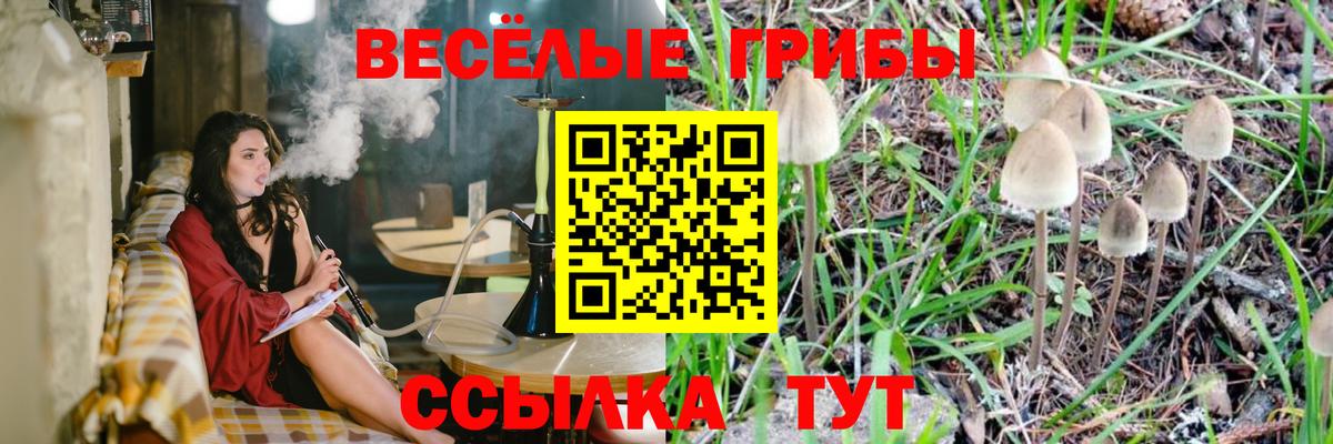 Галлюциногенные грибы Psilocybe  Вход с VPN  Галлюциногенные грибы Psilocybe  Липецк 