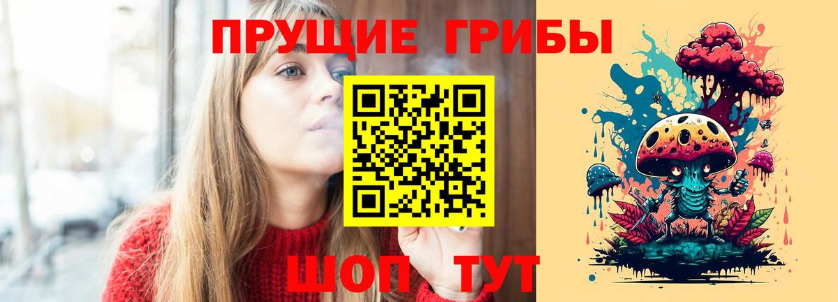 Псилоцибиновые грибы Psilocybine cubensis Липецк